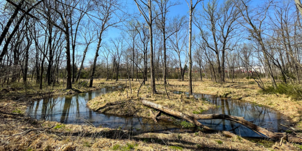Virginia is experiencing a severe drought