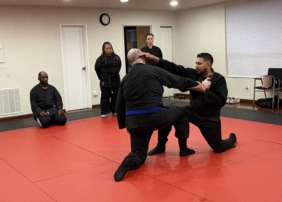 Business spotlight: Shadow Combatives